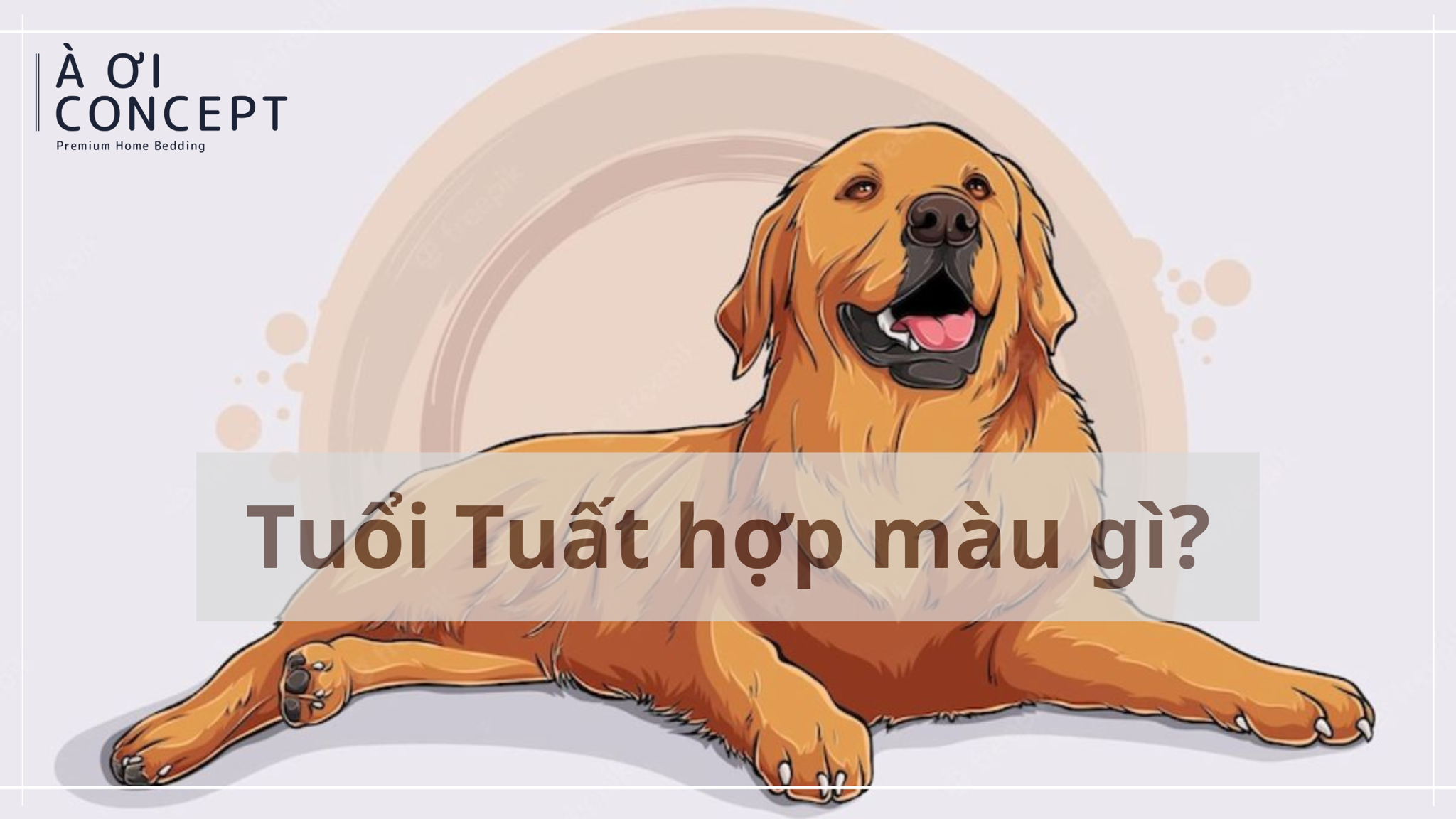 Cach ung dung mau sac may man cho nguoi tuoi Mau Tuat 1958 trong cuoc song hang ngay